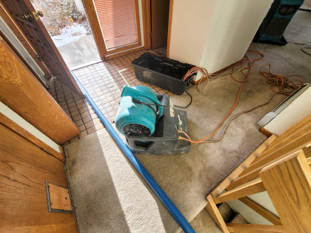Local water damage restoration in North Yelm, WA