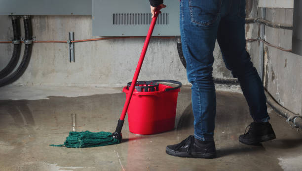 Carpet water damage restoration in North Yelm, WA