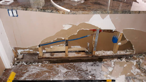Best Mold removal after water damage  in North Yelm, WA