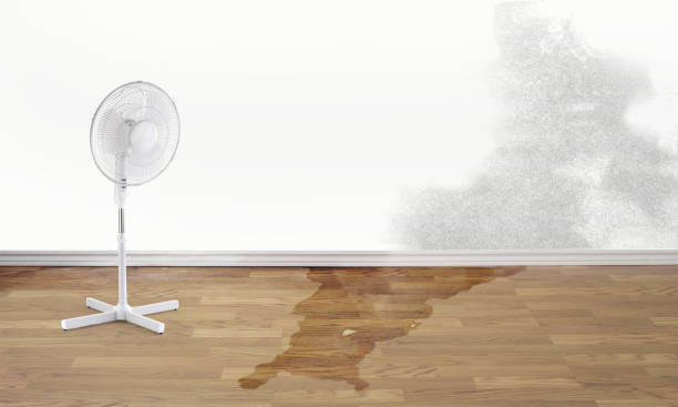 Best Water damage restoration insurance claims  in North Yelm, WA