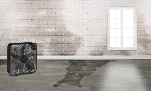 Best Flood restoration services  in North Yelm, WA