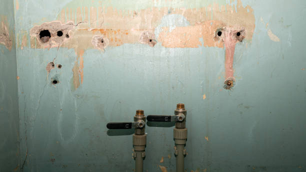 Trusted North Yelm, WA Water damage restoration Experts