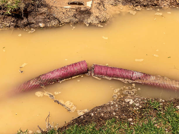Water damage restoration mold remediation in North Yelm, WA