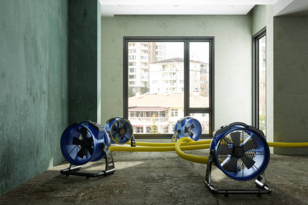 Water damage restoration insurance claims in North Yelm, WA