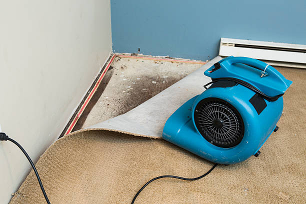 Best Commercial water damage restoration  in North Yelm, WA
